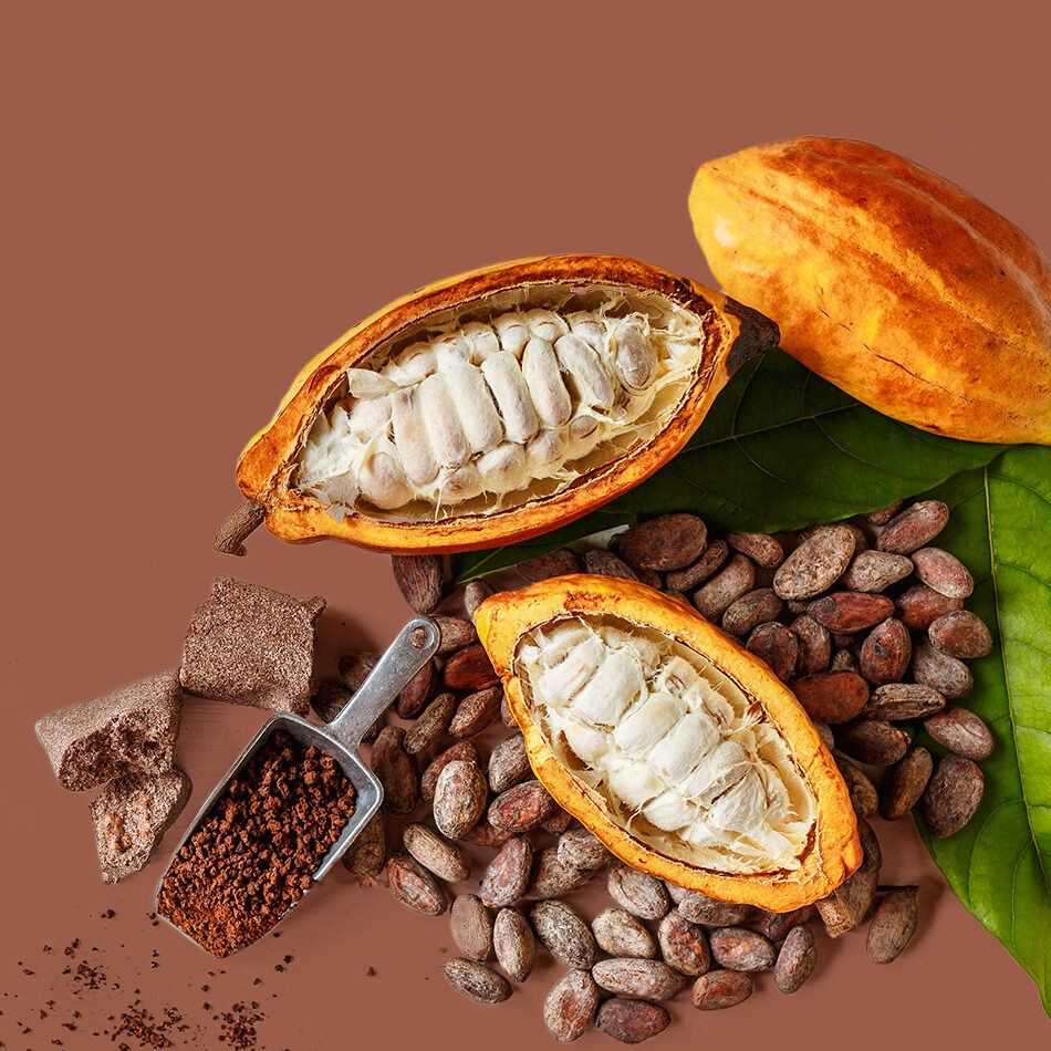 cacao-mini-banner-1