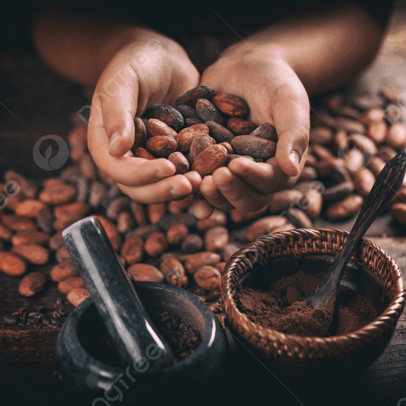 cacao tostado